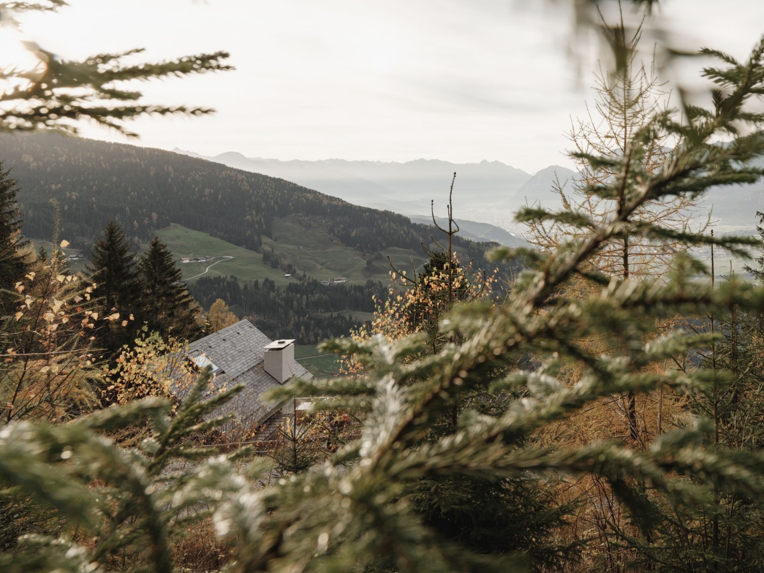 Tiny House Tirol - Gogl Architekten