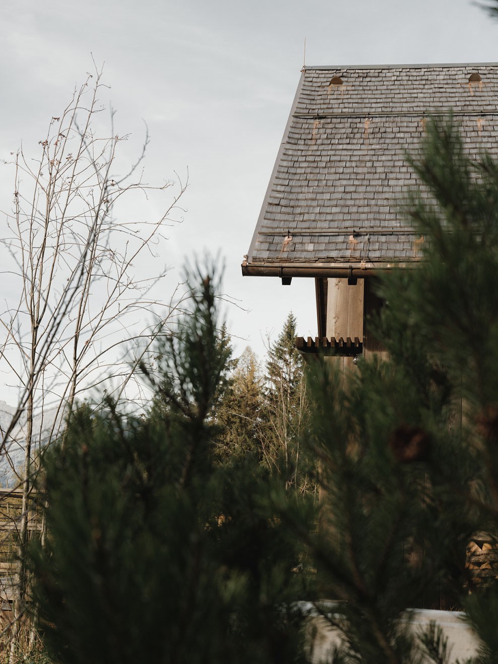 Tiny House Tirol - Gogl Architekten