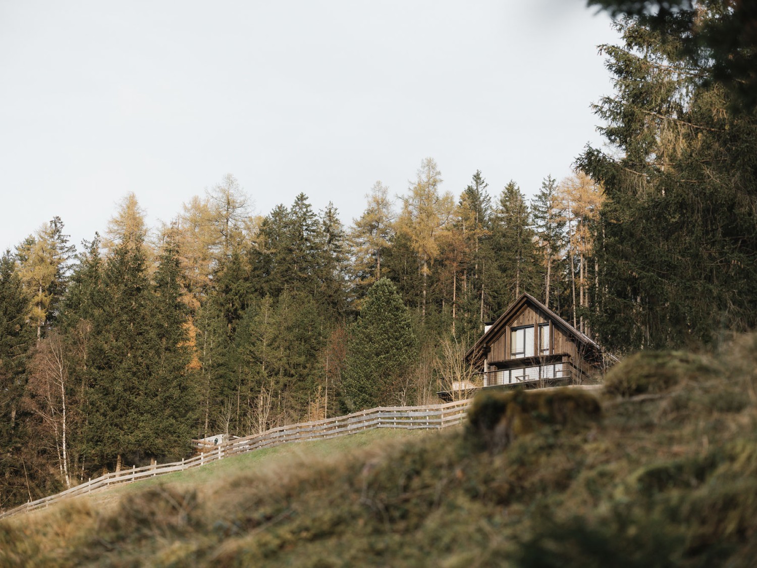 Tiny House Tirol - Gogl Architekten